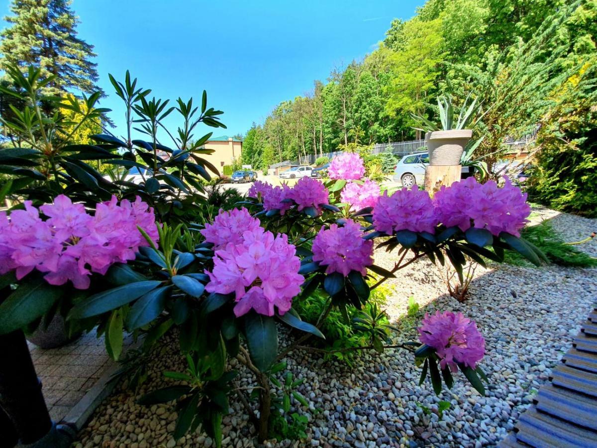 Hotel Mazuria Country & Spa มรุงโกโว ภายนอก รูปภาพ